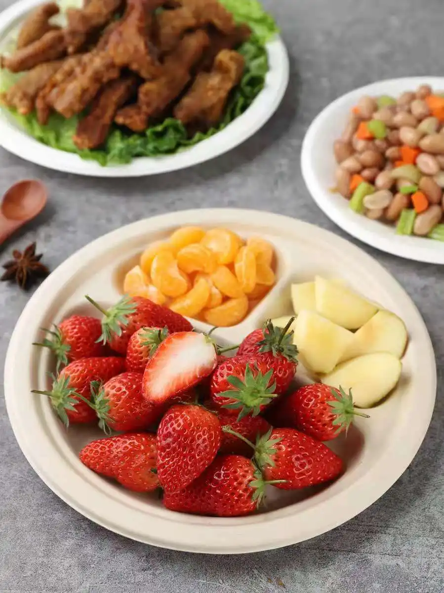 Biodegradable Bagasse Food Plate Disposable Fast Food Dinner Round Plate - Image 4