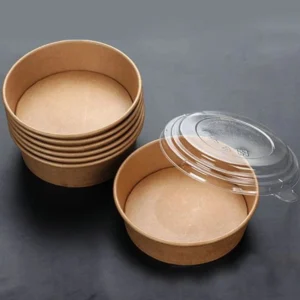 ODM OEM Disposable Eco-Friendly Biodegradable Camping Take Away Salad Kraft Paper Bowl with PP & Paper Lid