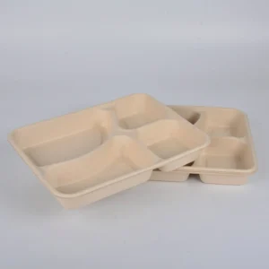 New Design Biodegradable Disposable 3 Food Multi Takeout Box Bagasse 5 Compartment Two Cell Rectangle Sugarcane Pulp