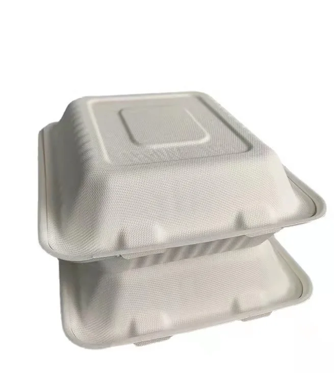 Wholesale Custom Cheap Rectangle Food Container Biodegradable Microwavable Sugar Cane Pulp Eco-Friendly for Sale