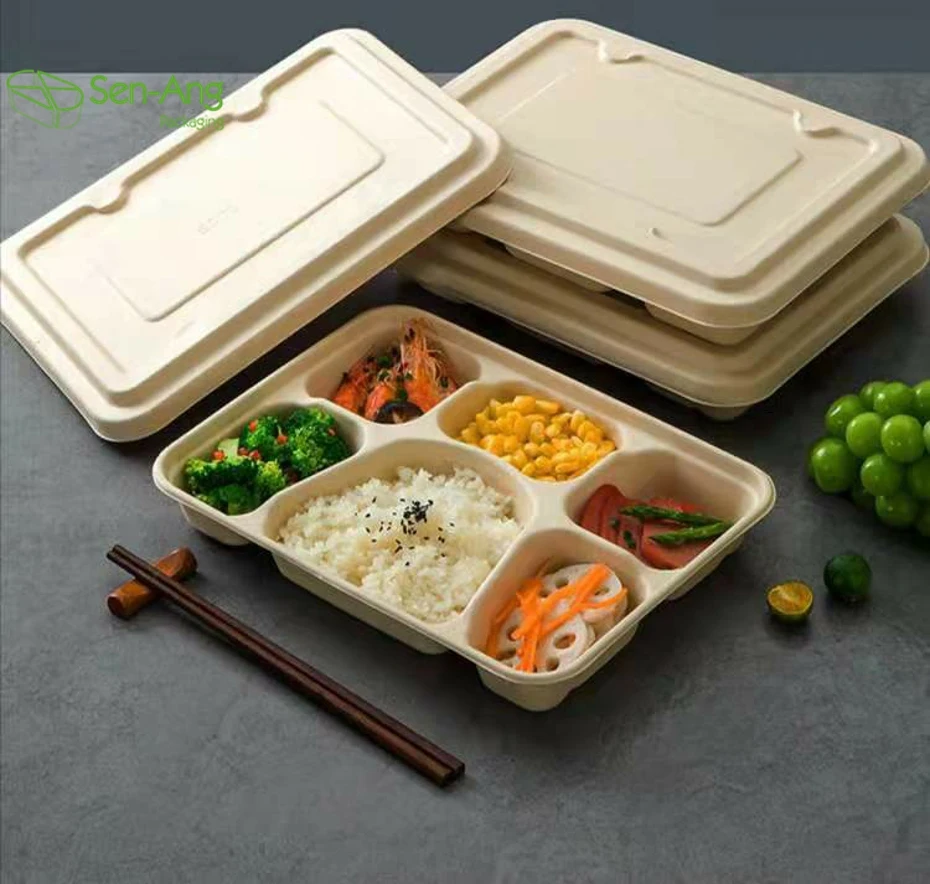 Morden Style Take Away Bagasse Box Clamshell Chinese Food Sugarcane Fpharmaceutical Container Pulp Box - Image 2