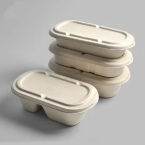 Biodegradable Sugar Cane Food Container Sugarcane Bagass Pulp Lunch Plate Box with Lid