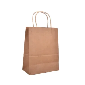 Wholesale Brown Kraft Paper Bag Accept Custom Printing Stock Gift Bag Fast Food Take Away Twisted Handle Shopping Bag