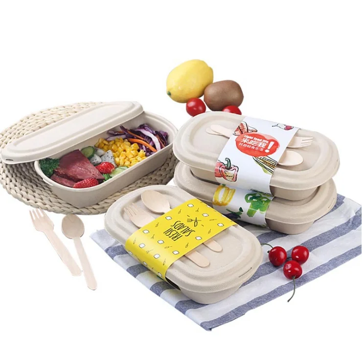 Factory One Cell Bagasse Pulp Away Food/Dessert/Mousse/ Pastry Pack Box Oval Take Out to Go Food Container - Image 2