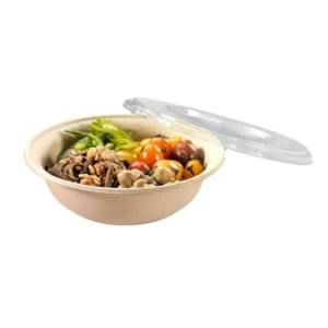 Disposable Paper Pulp Biodegradable Takeout Take Away Sugarcane Bagasse Bowl
