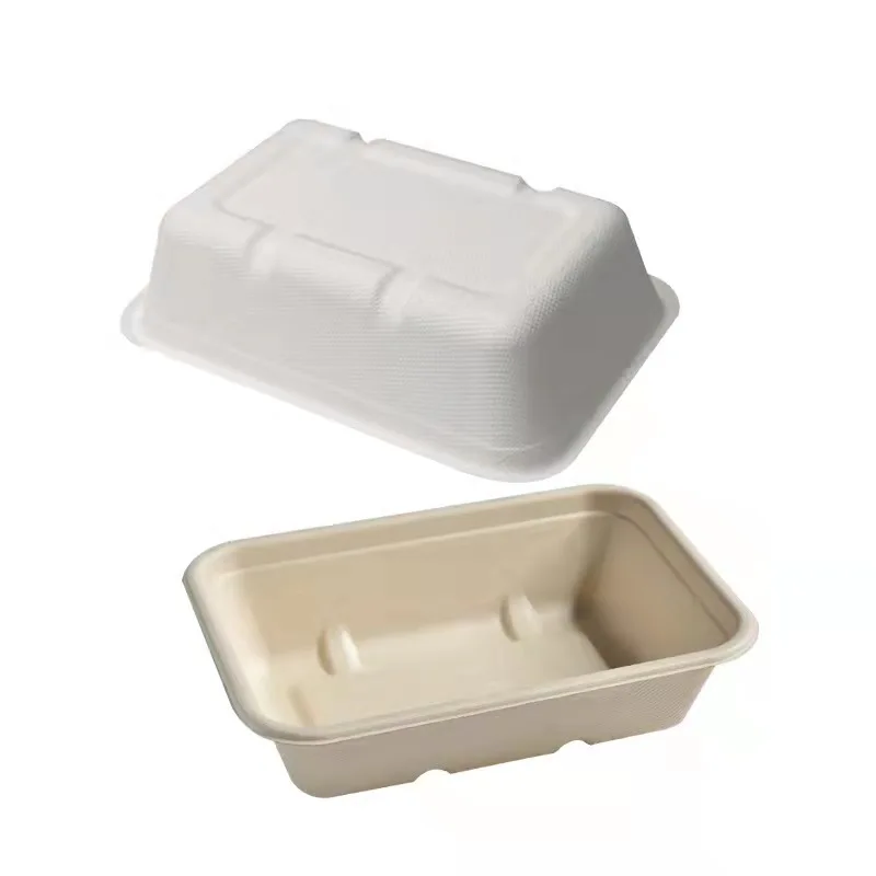 Bagasse Box Microwave Safe Disposable Pulp Paper Lunch Box