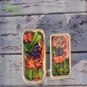 Reusable Lunch Take Away Pick up Pulp Shallow 3 Compartment Tray Takeout Bagasse Sugarcane Food Container
