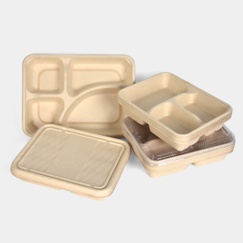 Morden Style Take Away Bagasse Box Clamshell Chinese Food Sugarcane Fpharmaceutical Container Pulp Box - Image 4