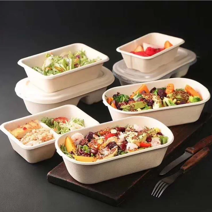 Factory One Cell Bagasse Pulp Away Food/Dessert/Mousse/ Pastry Pack Box Oval Take Out to Go Food Container - Image 4