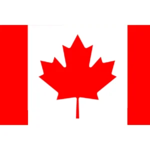 White Brown Takeout Round Waterproof Oilproof Soup Disposable Kraft Paper Salad Bowl with Lid