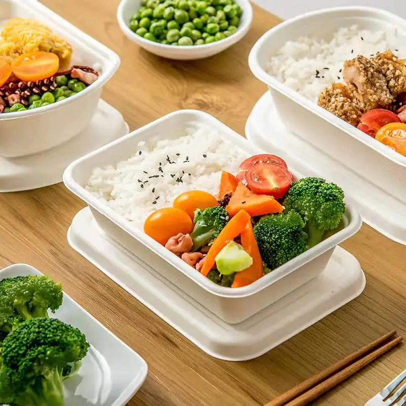 Custom Biodegradable Sugarcane Bagasse Pulp Rectangle Take Away Meal Box with Lid - Image 2