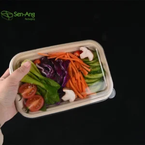 Factory Wholesale 850Ml Take Away Food Pulp Plate Multi Compartment Bagasse Lunch With Lid Sustainable Sugarcane Box
