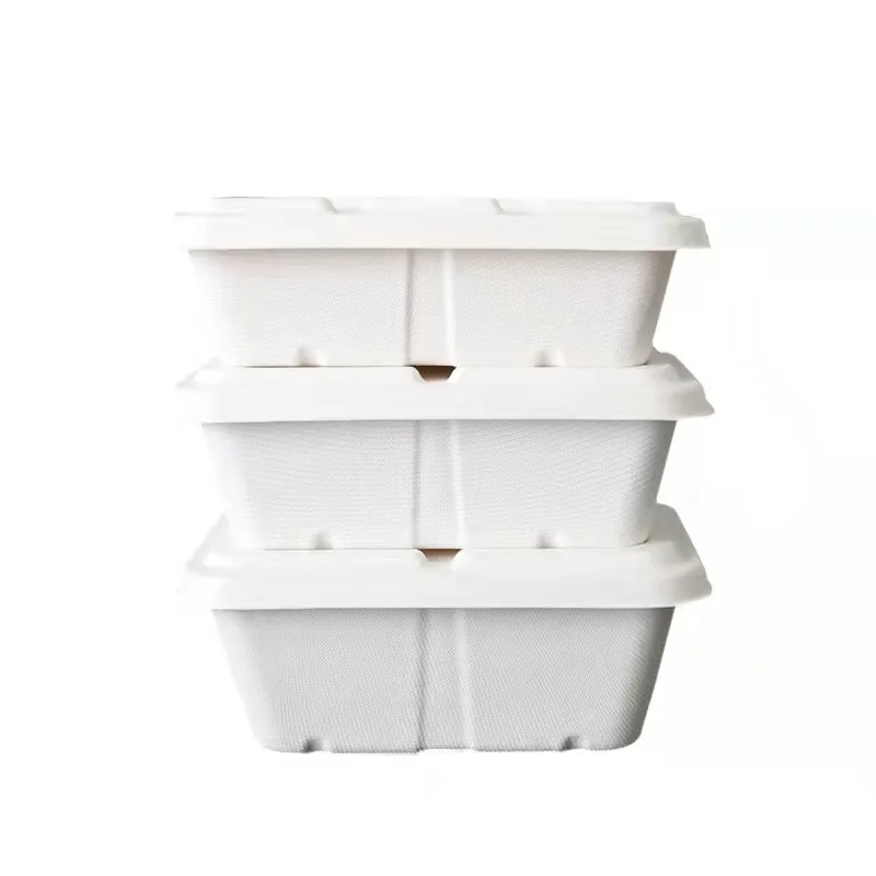 Custom Biodegradable Sugarcane Bagasse Pulp Rectangle Take Away Meal Box with Lid - Image 4