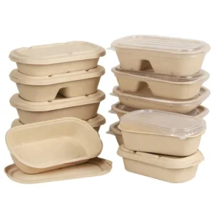 in Stock Clamshell Container Tray Bagasse Take Away Food Plate Sugarcane Pulp 2 Compartment Lunch Box With Lid
