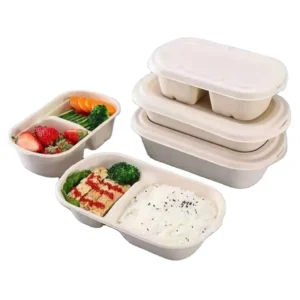 Eco Friendly Compostable Take Away Food Container Disposable Bagasse Pulp Lunch Box with Lid