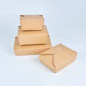Customized Eco-friendly Kraft Paper Food Packaging Bowl with Embossing for Fast Food Takeaway