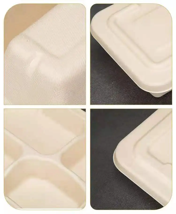 Bagasse Box Microwave Safe Disposable Pulp Paper Lunch Box - Image 4