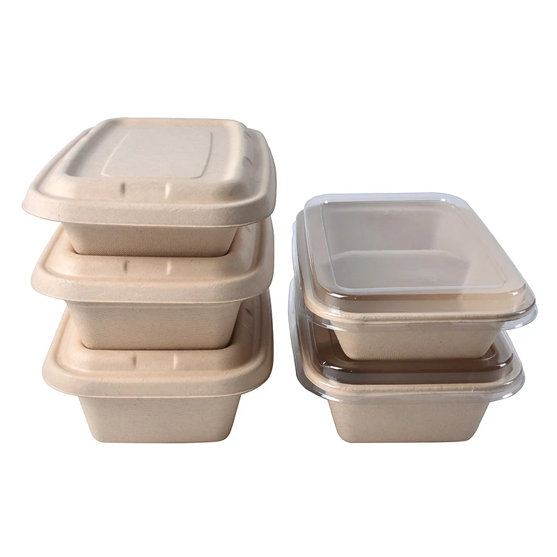Wholesale Custom Disposable Biodegradable Food Packaging Container with Lid - Image 2