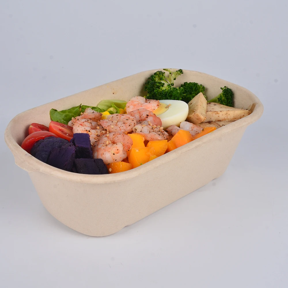 Takeout Bagasse Food Takeaway Biodegradable Pulp Cake Container Sustainable Sugarcane Fibre Box - Image 6