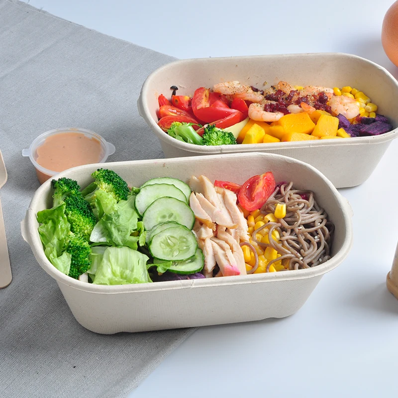 1000ml Disposable Biodegradable Lunch Sugarcane Pulp Bagasse Sugarcane Box 1000ml Food Container - Image 5