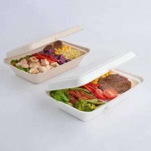 Disposable 6x6 Inch Paper Pulp Bagasse Biodegradable Hamburger Clamshell Sugarcane Box