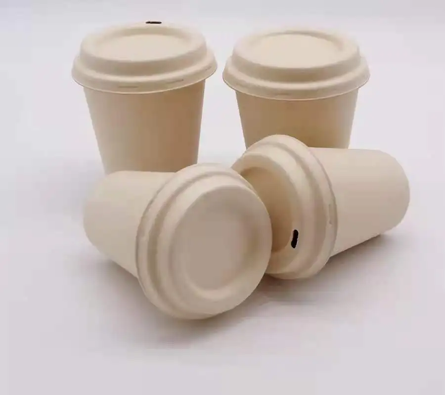 Custom Biodegradable Coffee Cup Disposable Bagass Pulp Coffee Hot Drink Pack Cup with Lid - Image 4