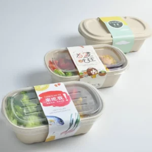 Factory Direct Sale Shallow 3 Compartment Tray Two Cell Container 800Ml Sugarcane Pulp Reusable Lunch Box