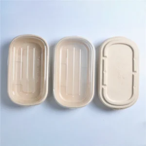 Disposable 700ml 850ml 1000ml Biodegradable Lunch Paper Pulp Bagasse Sugarcane Food Box
