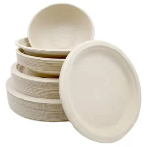 Biodegradable Bagasse Food Plate Disposable Fast Food Dinner Round Plate