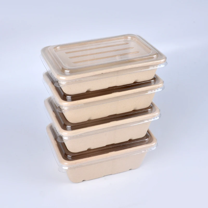 650ml Eco-friendly Disposable Biodegradable Bagasse Take Away To-go Food Container Sugarcane Pulp Lunch Box - Image 5