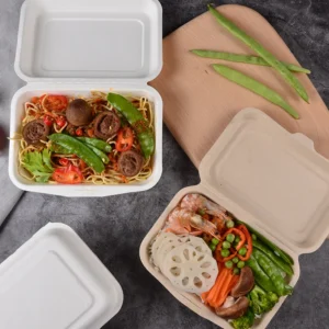 Sugarcane Pulp 6 Inch Lunch Box for Sushi Burger Cake & Sandwich-Eco Friendly Disposable Food Storage Container