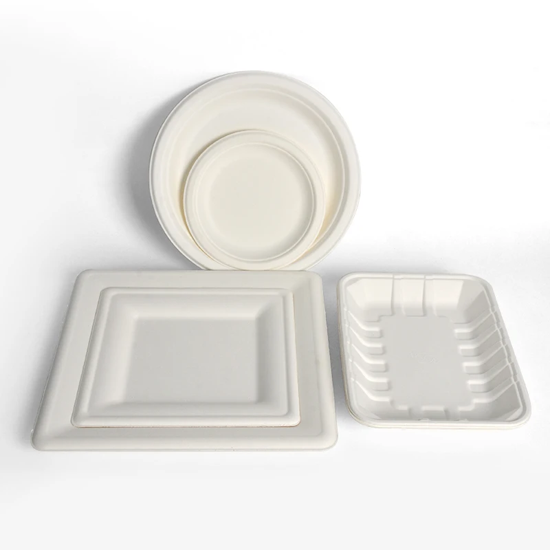 6-9 Inch Restaurant Leakproof Compostable Sugarcane Bagasse Square Pulp Disposable Plates for Party-OEM Brand
