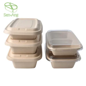 Factory Wholesale Shallow 3 Compartment Tray Vaso Eco Friendly De Papel Biodegradable Sugarcane Bagasse Pulp Coffee Cup