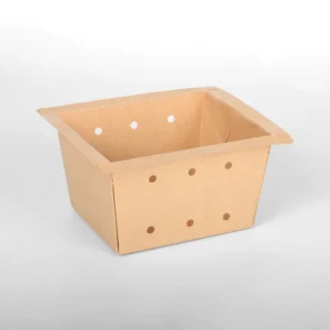 Compostable Container Take Away Paper Fruit Box for Farms with Vent Holes Sustainable Paper Produce Trays with Lid