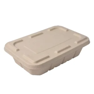 One Cell Bagasse Food 500ML 750ML 1000ML 1250ML Sugarcane Pulp Cake Container