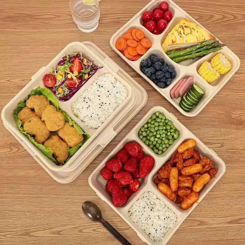 Microwavable Rectangle Sugarcane Pulp Bento Take Away Box 8 Inch 3 Compartment Food Container - Image 3