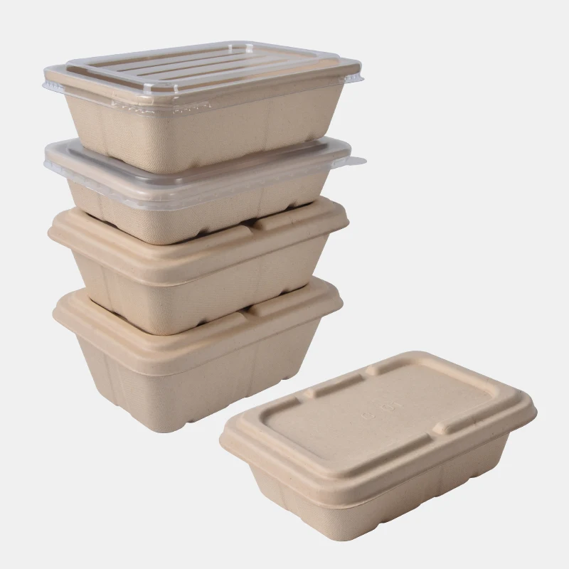500ml Eco Friendly Rectangular Sugarcane Bagasse Fast Food Lunch Container Compostable Pulp Food Box - Image 2
