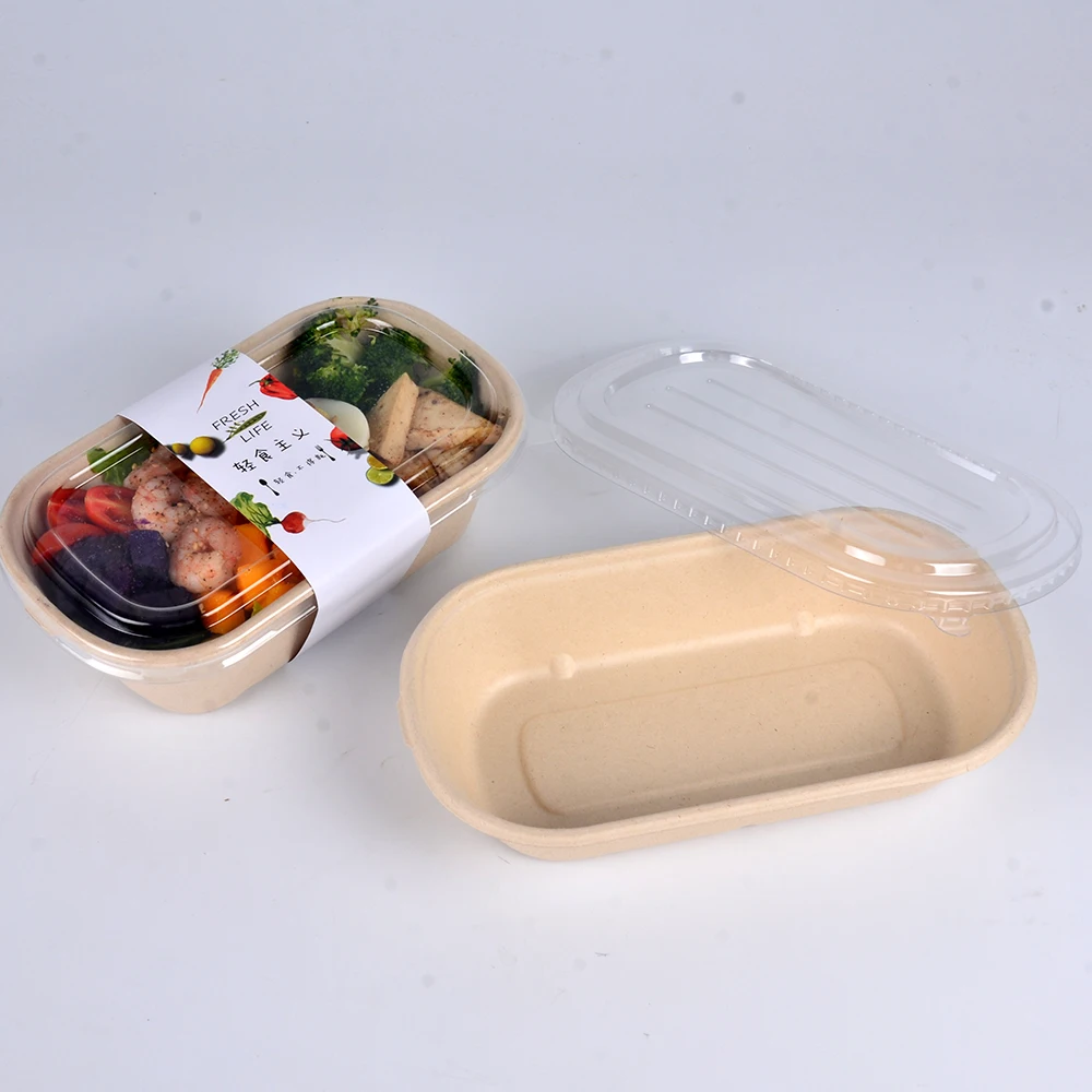 700ml 850ml 1000ml Disposable Bagasse Sugarcane Food Biodegradable Box Packaging - Image 2