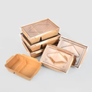 Wholesale Fruit Rectangle Take Away Box Kraft Paper Lunch Bento Salad Packaging Box With Transparent Pet Lids