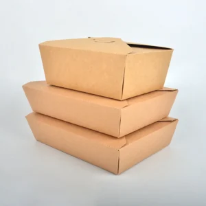 Custom Logo Brown Kraft Paper Eco-friendly Recyclable Food Catering Takeout Container Matt Lamination for Sushi