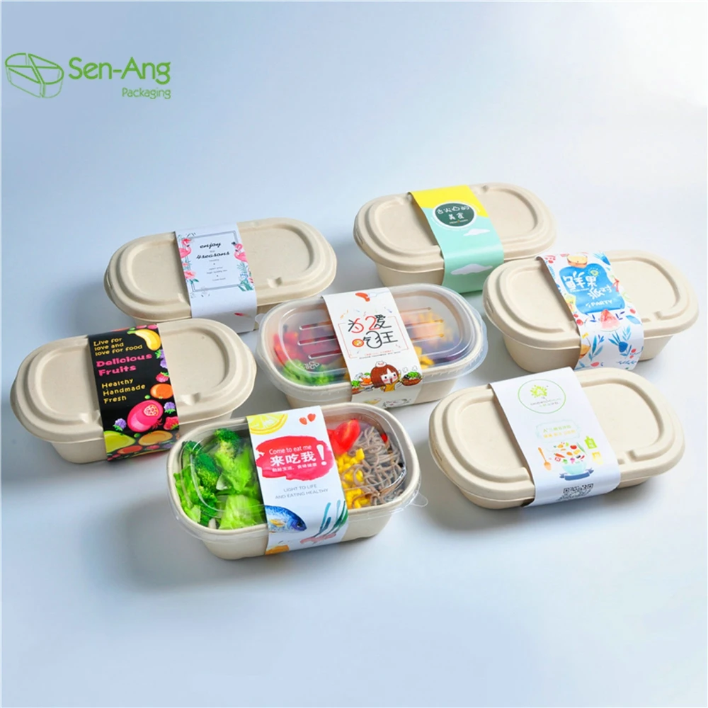Disposable 700ml 850ml 1000ml Paper Pulp Sugarcane Biodegradable Bagasse Lunch Box - Image 6