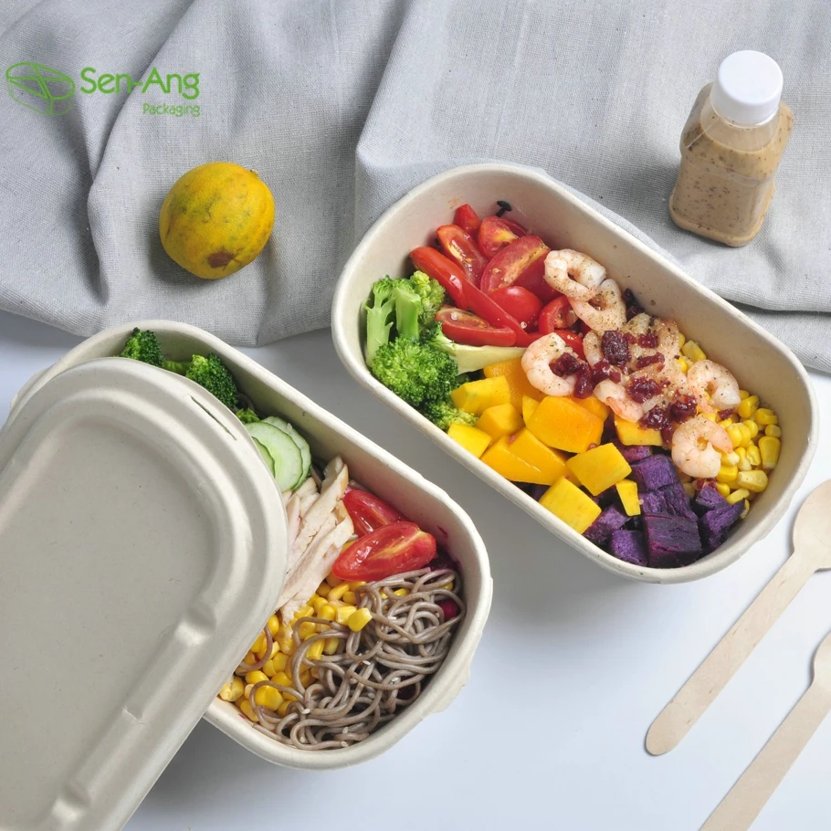 Bagasse Pulp Food Packaging Container Eco Friendly Biodegradable Sugarcane Box - Image 4