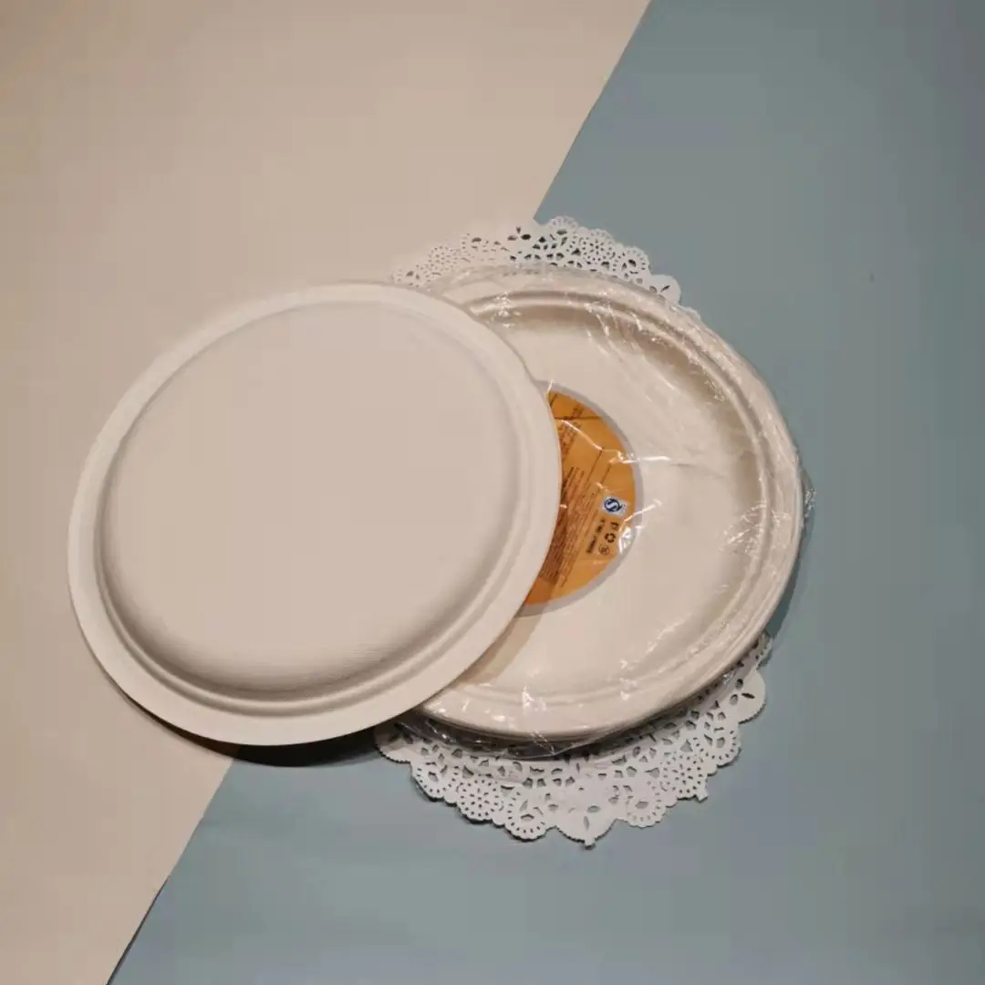 Eco Party Biodegradable Sugarcane Pulp Tableware Bagasse Plate - Image 6