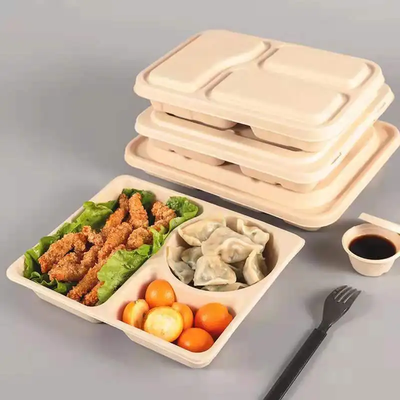 Microwavable Rectangle Sugarcane Pulp Bento Take Away Box 8 Inch 3 Compartment Food Container - Image 6