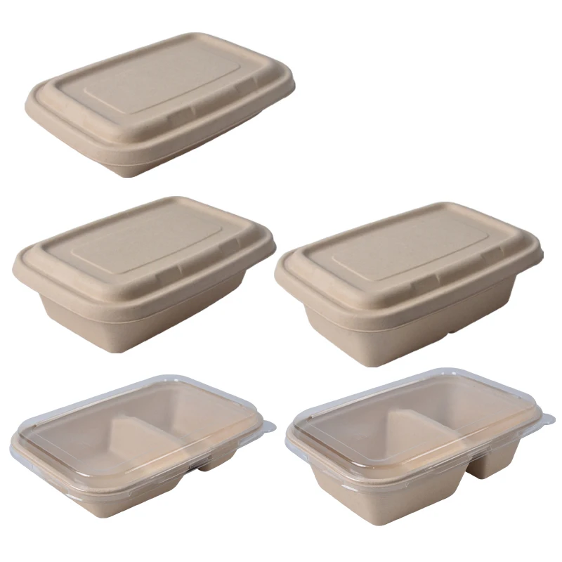 Custom Biodegradable Sugarcane Bagasse Pulp Rectangle Take Away Meal Box with Lid - Image 6