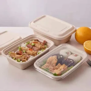 Biodegradable Lunch Box Bagasse Lunch Box Sugarcane Box