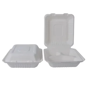 Biodegradable Bagasse Food Container with Lid