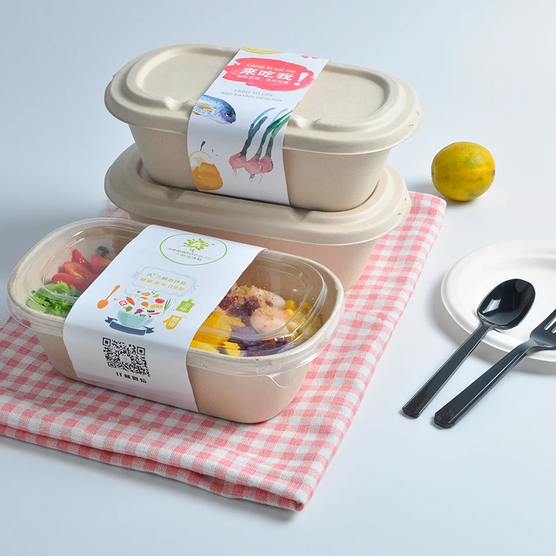 1000ml Disposable Biodegradable Lunch Sugarcane Pulp Bagasse Sugarcane Box 1000ml Food Container - Image 2