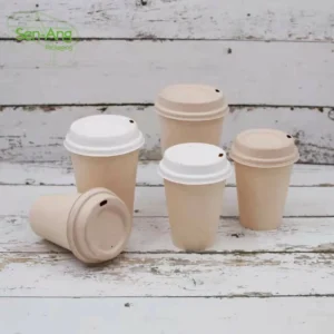 Paper Disposable Sugarcane Pulp Pla Coated 6 8 Oz Eco With Lidthe Biodegradable Coffee Cup