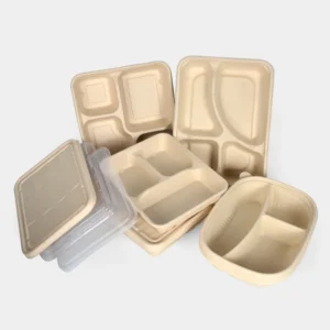 Morden Style Take Away Bagasse Box Clamshell Chinese Food Sugarcane Fpharmaceutical Container Pulp Box